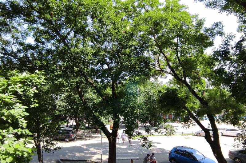 Однокомнатная квартира