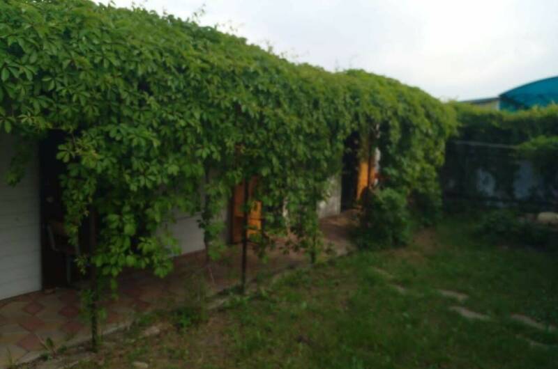 База отдыха на Кубанской