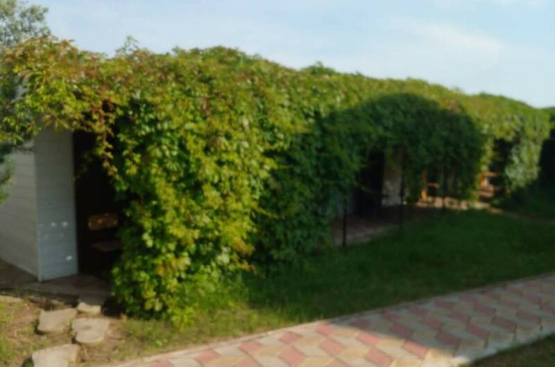 База отдыха на Кубанской