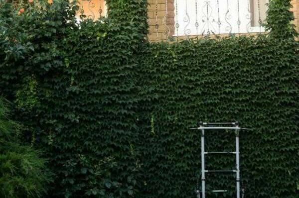 Домовладение Краснофлотская 67