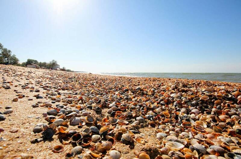 Эко-отель «KORITZA»