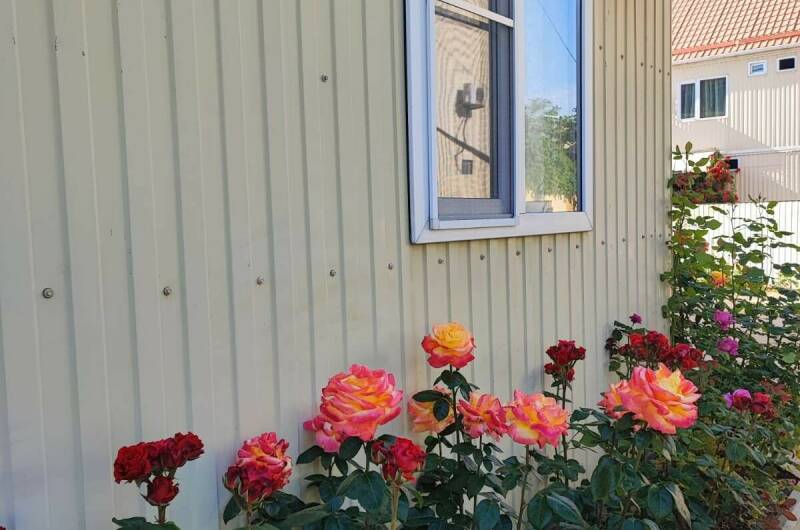 Гостевой дом «Тортуга»