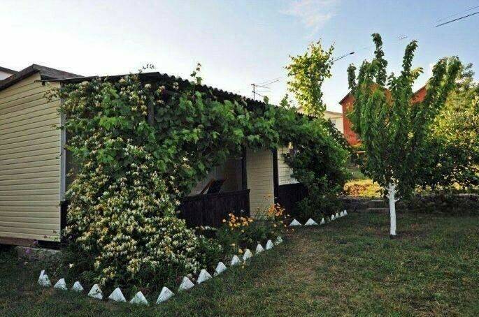 Частный сектор на Таманская 22