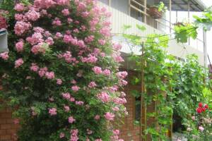 Изображение Частный сектор на Калинина #1