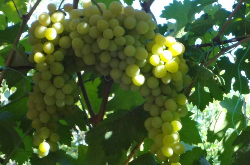 Частный сектор на Калинина