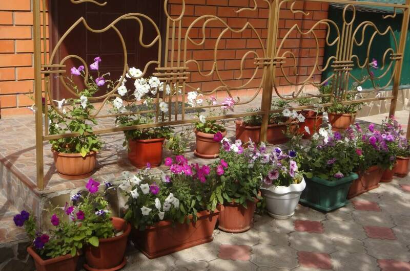 Частный сектор на Калинина