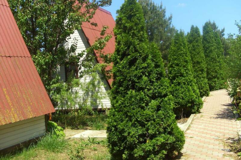 Домик под ключ на Комсомольской