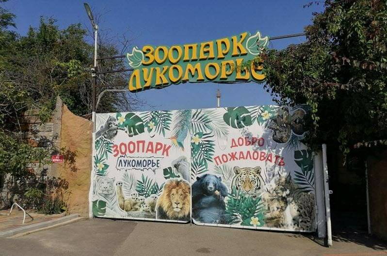 Гостиница «Фортуна»