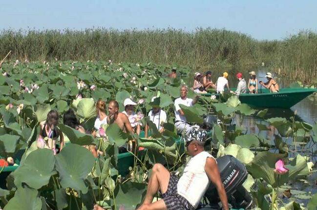 Гостиница «Фортуна»