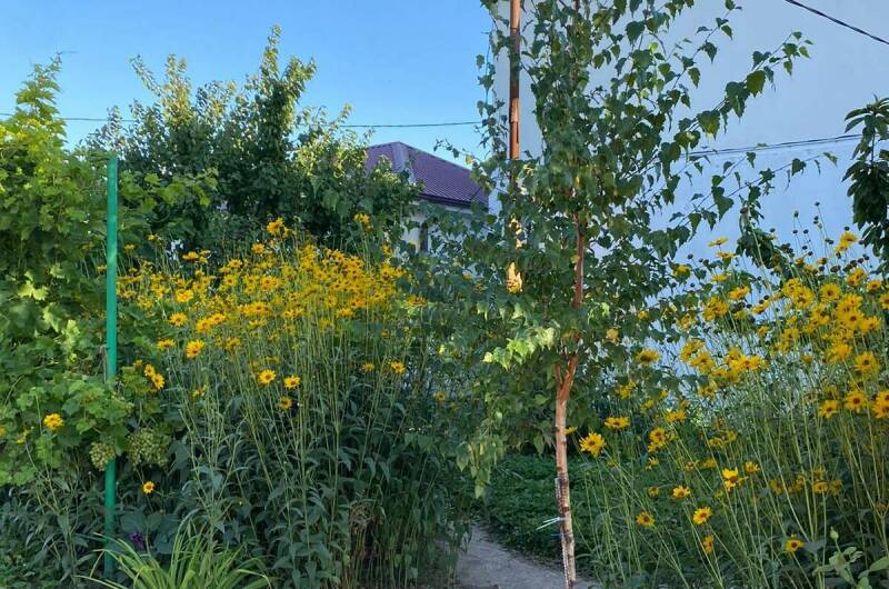 Гостевой дом «Андреевский»