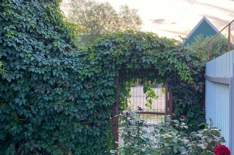 Гостевой дом «Андреевский»