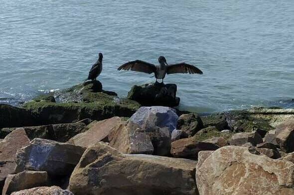 Гостевой дом «Андреевский»