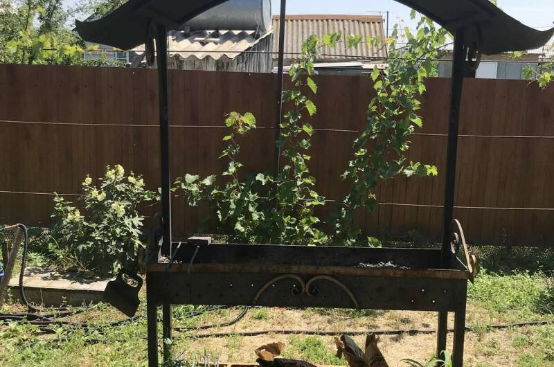 Экодомики на Пушкина 15 «А»