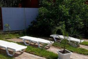 Изображение Гостевой дом «Пальма» #5