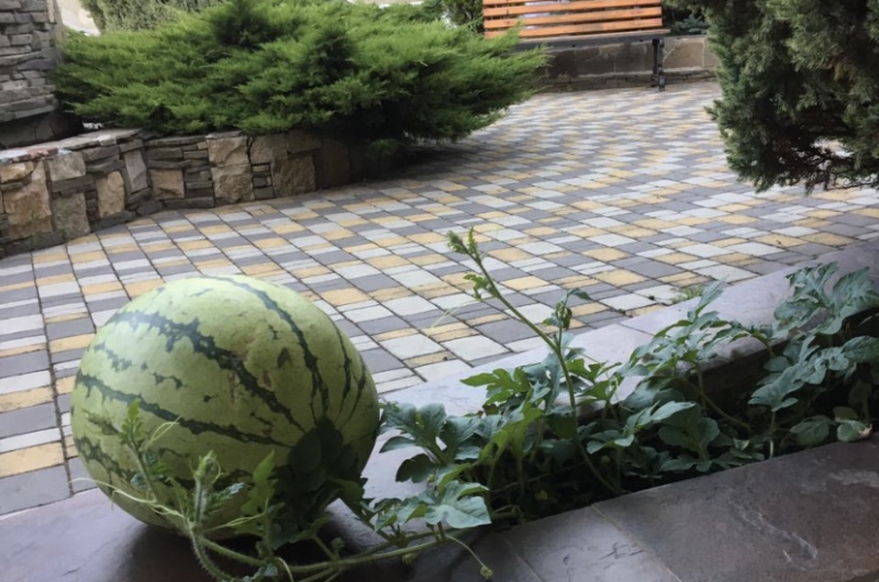 Гостевой дом «Artik Райский Уголок»