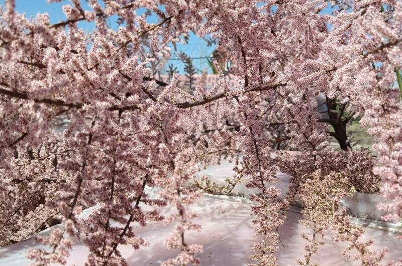 Коттедж под ключ «Адмирал»