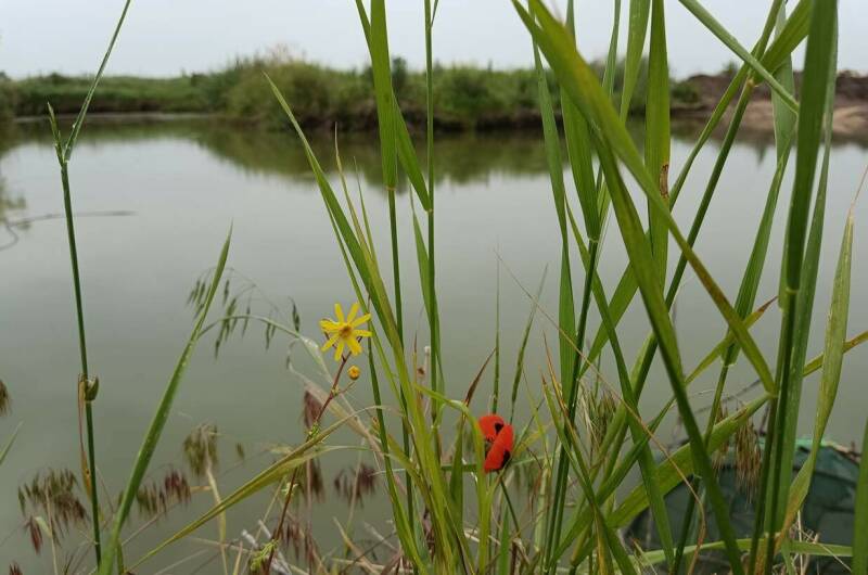 Коттедж под ключ «Адмирал»