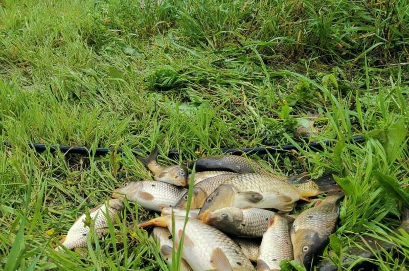 Коттедж под ключ «Адмирал»