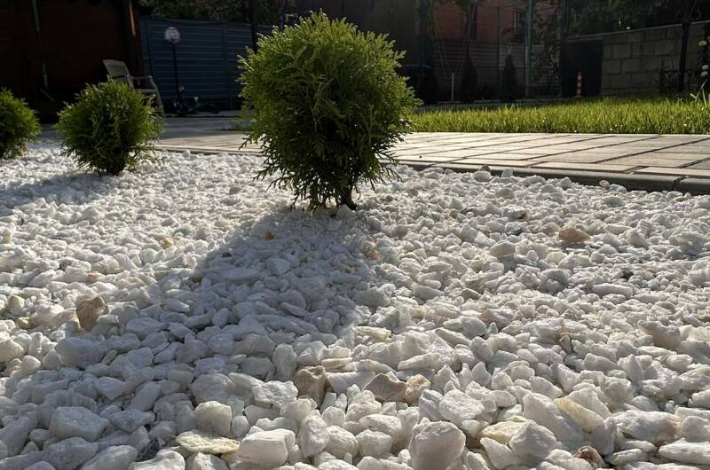 Гостевой дом «Династия»