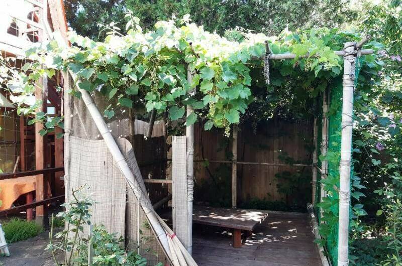 Гостевой дом «Алита»