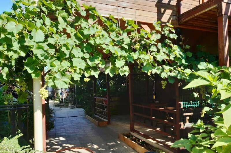 Гостевой дом «Алита»