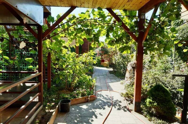 Гостевой дом «Алита»