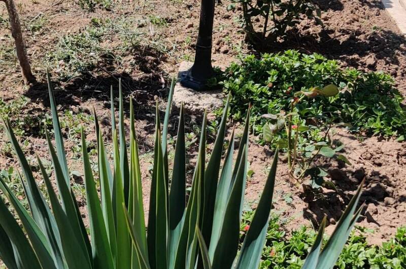 Гостевой дом «Дакадан»