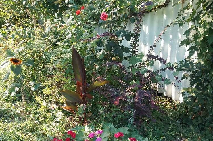 Частный сектор «Мира 42»