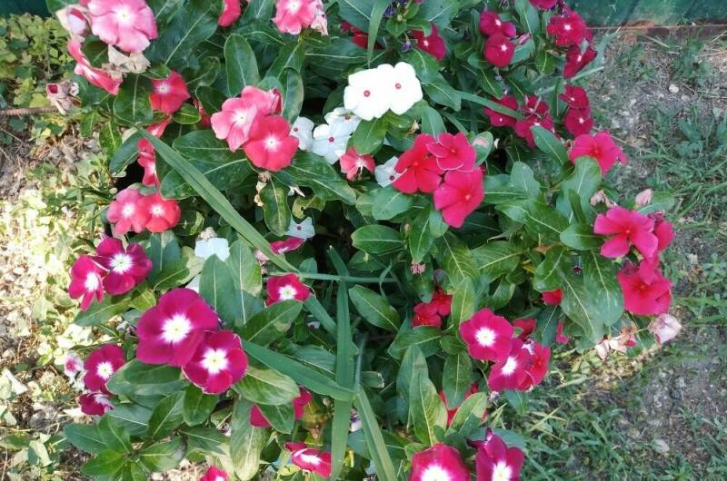 Частный сектор «Мира 42»