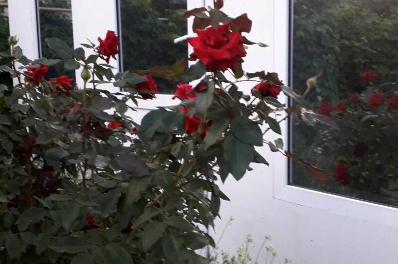 Частное домовладение «Берег»