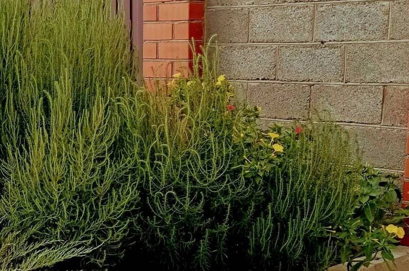 Частное домовладение «Берег»