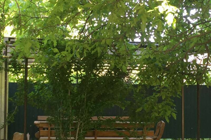 Гостевой дом «Виктори»