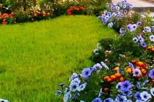 Изображение Гостевой дом «Море» #2