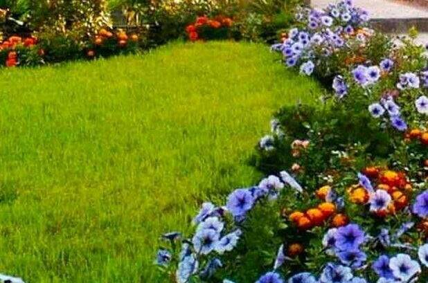 Гостевой дом «Море»