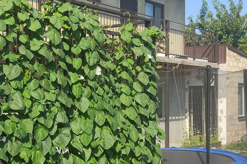 Гостевой дом «Семейный отдых»