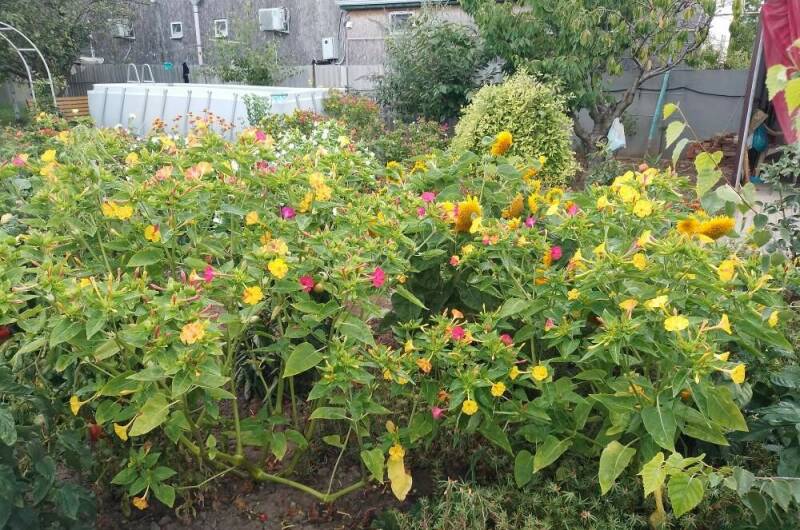 Частный сектор «Елена»