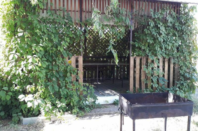 Гостиница «Актиния»