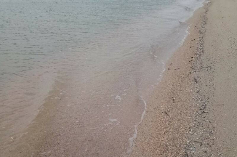 Гостевой дом «Прохлада»