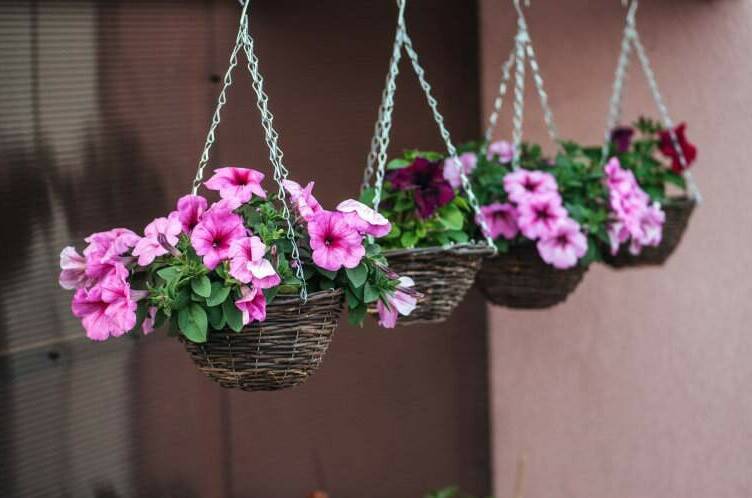 Гостевой дом «Ейский»