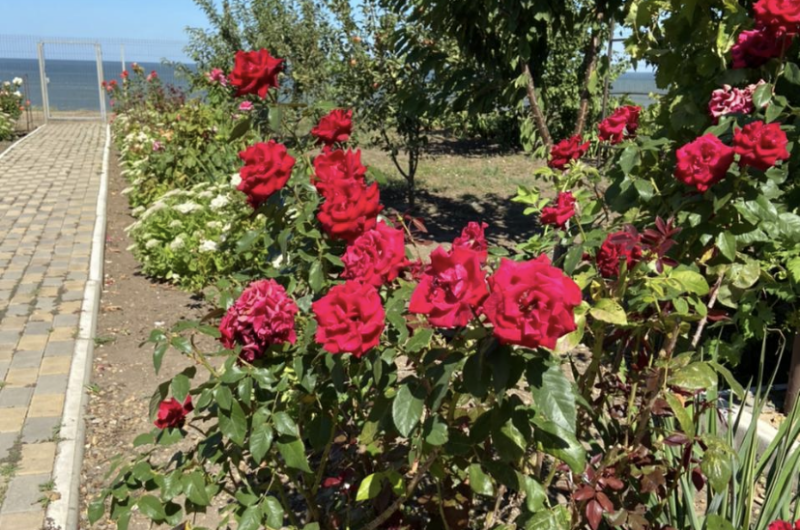 Гостевой дом «Стефания»