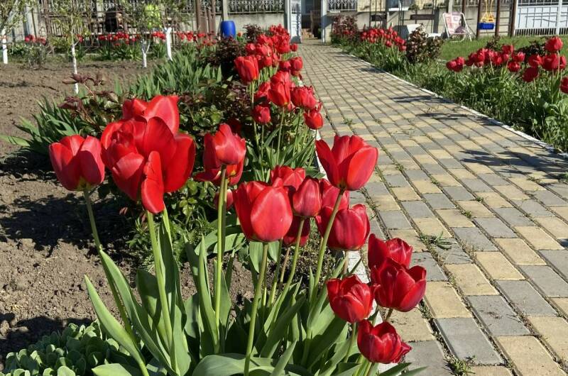 Гостевой дом «Стефания»