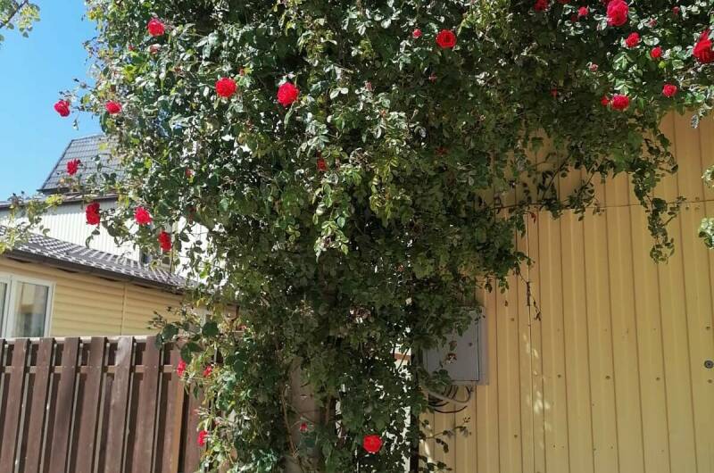 Гостевой дом «Радуга»