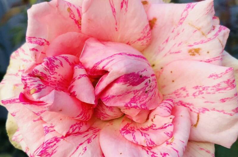 Частный дом «На Советской»