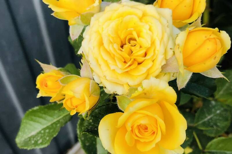 Частный дом «На Советской»