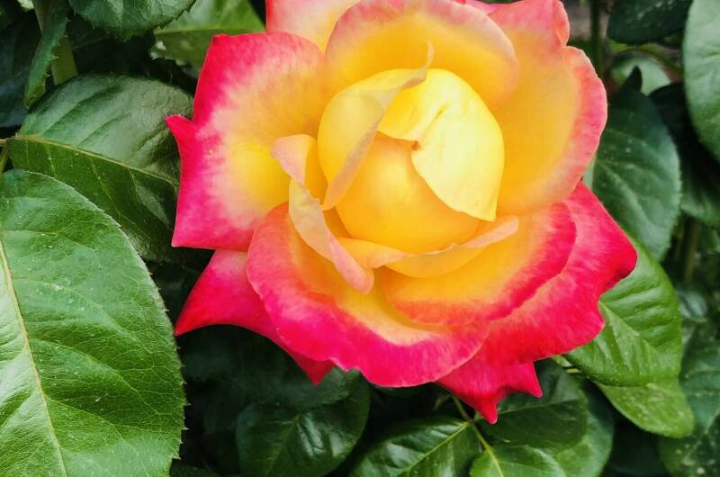 Частный дом «На Советской»