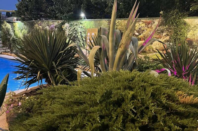 Гостевой дом «Villa Vitaliya»