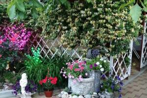 Изображение Гостевой дом на Ростовской 50 #3