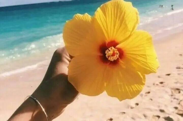 Эко-дом у моря в КП «Альбатрос»