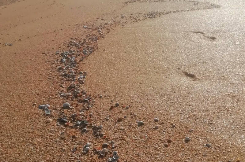 Эко-дом у моря в КП «Альбатрос»