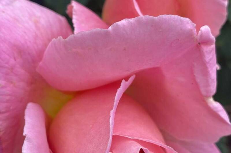 Гостевой дом «Южные ночи»